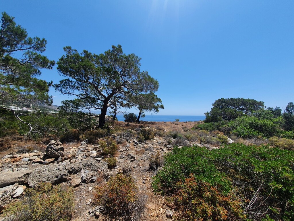 Land in Heraklion, Greece, 9 068 m² - picture 3