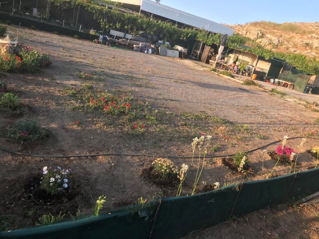 Land in Heraklion, Greece, 670 m² - picture 3