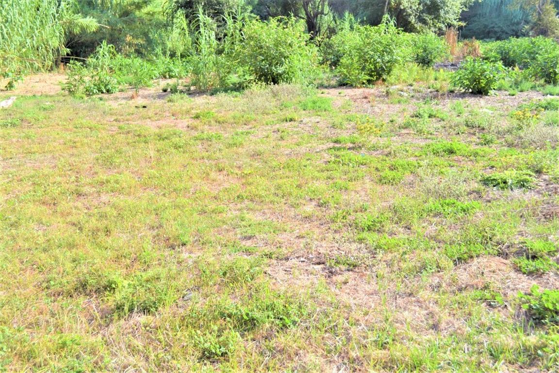 Terrain à Corfou, Grèce, 3 000 m² - image 3