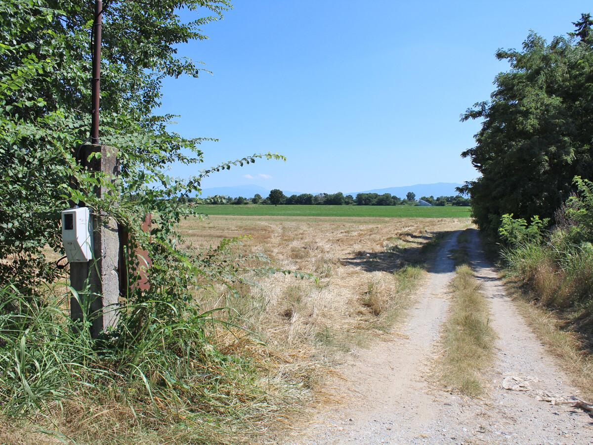 Land in Olympiaki Akti, Greece, 10 000 m² - picture 3