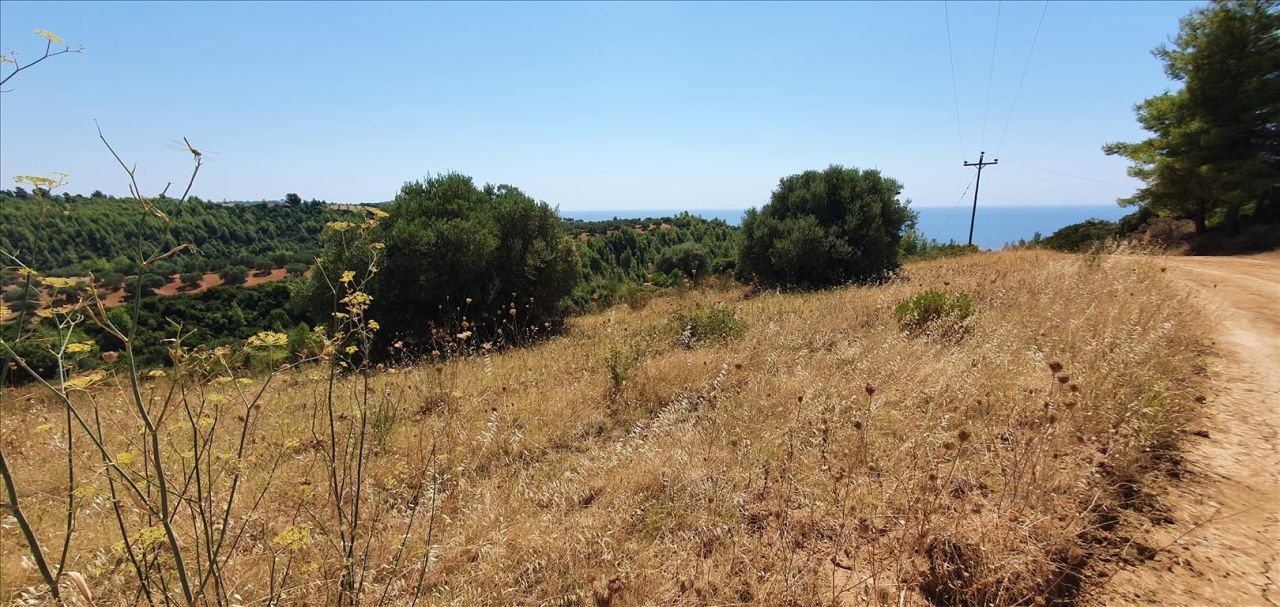 Terreno en Kassandra, Grecia, 5 700 m² - imagen 3