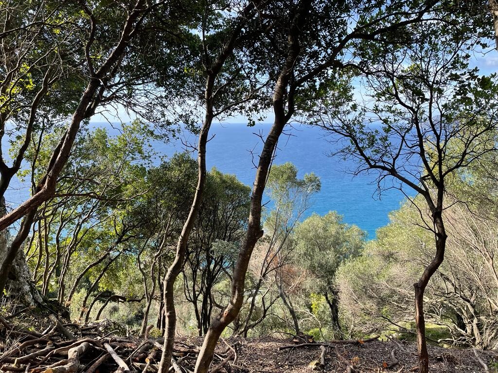 Terreno a Corfù, Grecia, 6 260 m2 - foto 3