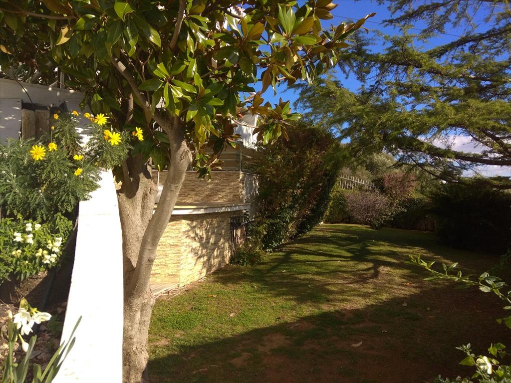 Villa in Athen, Griechenland, 600 m² - Foto 3