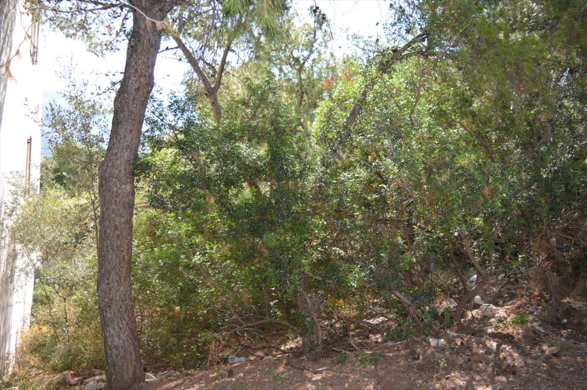 Terreno en Ática, Grecia, 536 m² - imagen 3