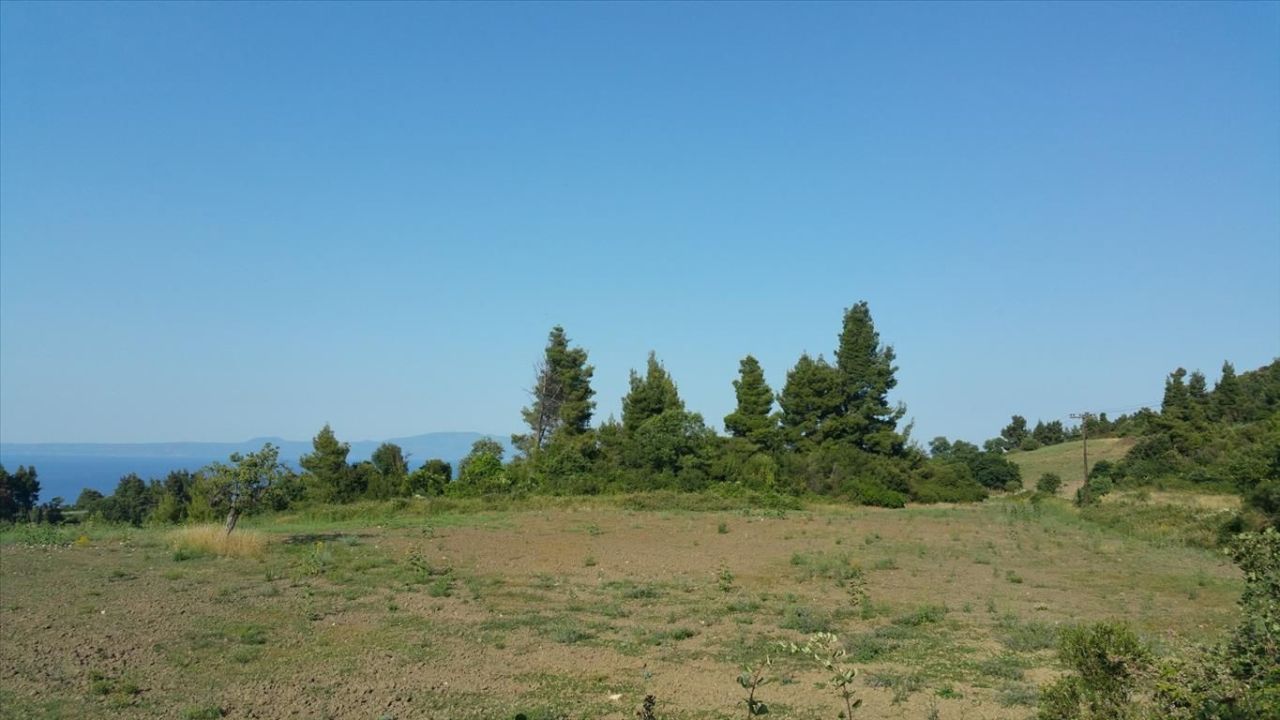 Land in Kassandra, Greece, 14 625 m² - picture 3