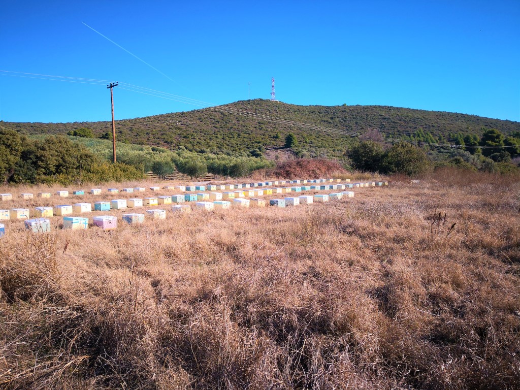 Grundstück in Sithonia, Griechenland, 12 000 m² - Foto 3