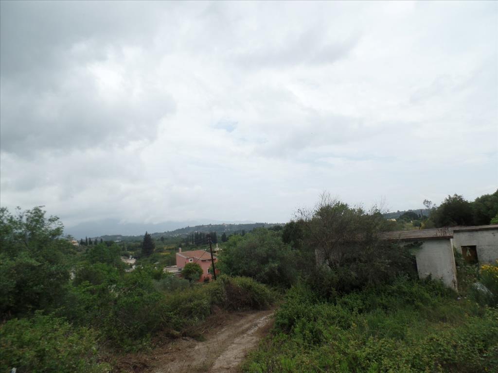 Land in Corfu, Greece, 15 000 m² - picture 3