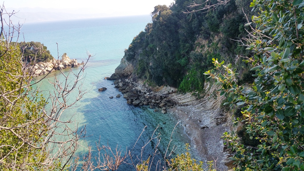 Land in Corfu, Greece, 4 010 m² - picture 3