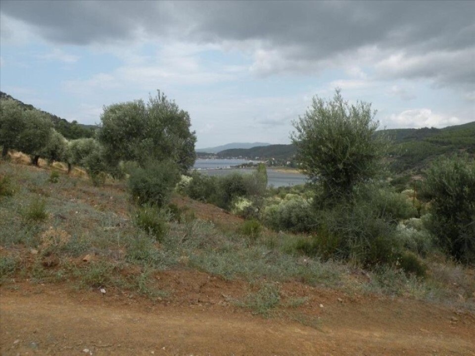 Land in Sithonia, Greece, 7 500 m² - picture 3