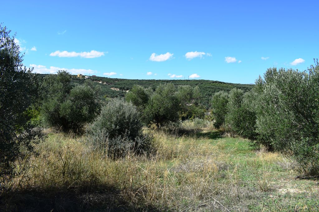 Terrain à Héraklion, Grèce, 2 010 m² - image 3