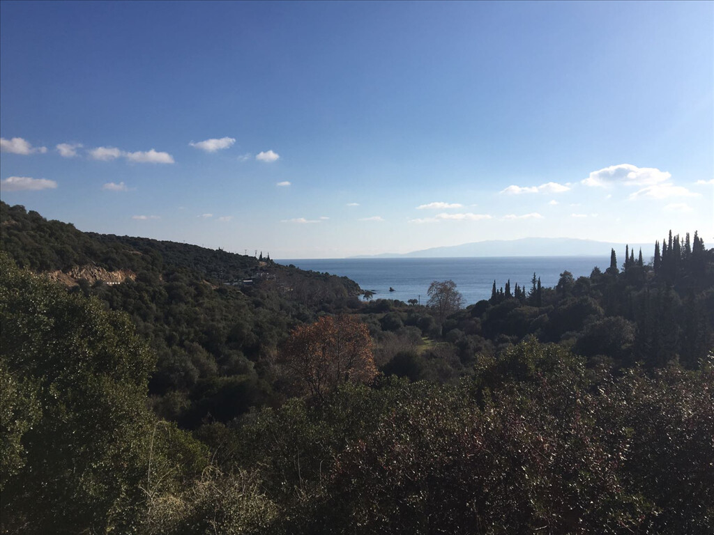 Land in Chalkidiki, Greece, 12 415 m² - picture 3