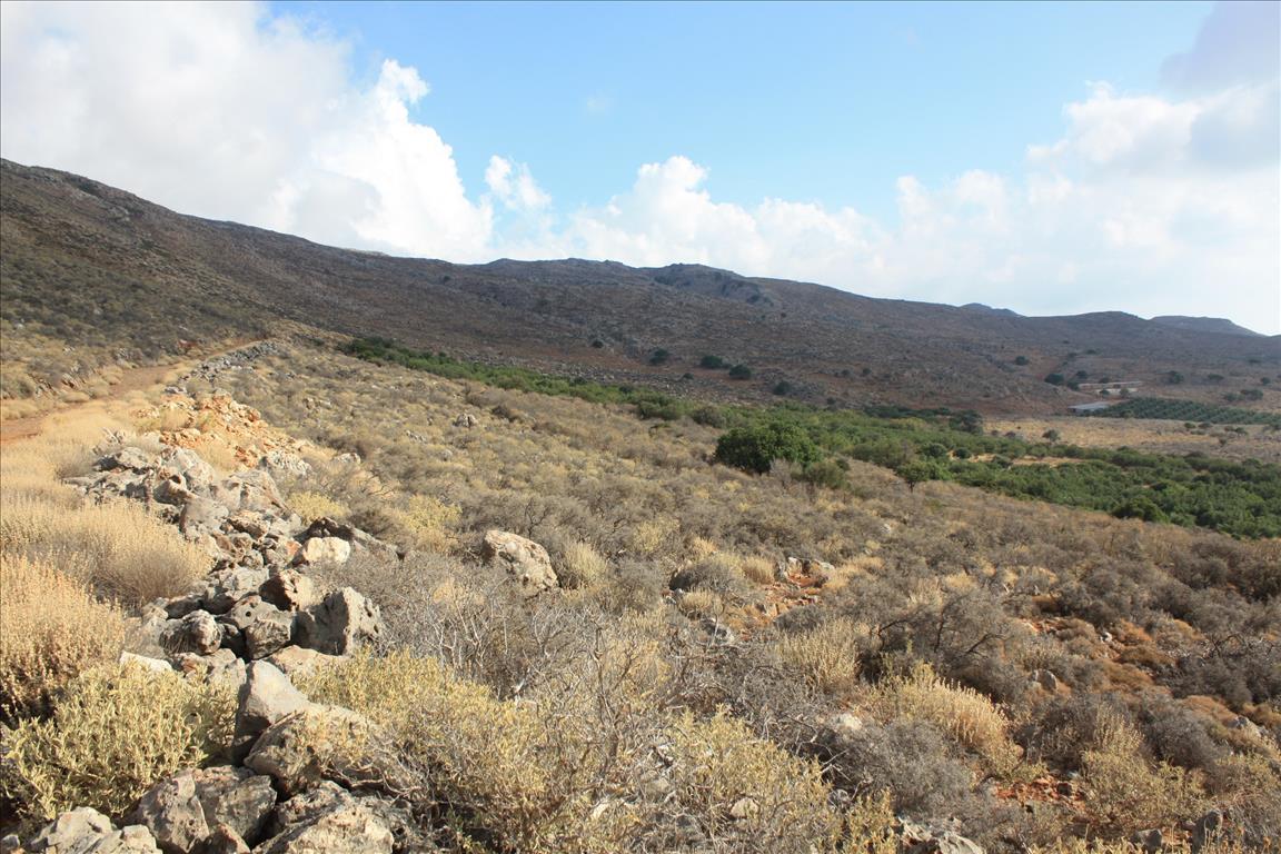 Terreno en Heraclión, Grecia, 25 000 m² - imagen 3