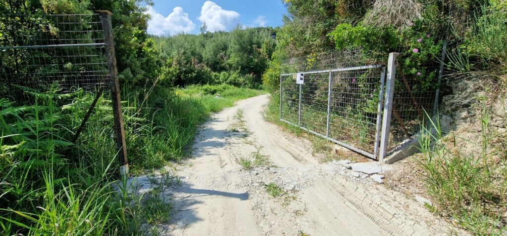 Terreno en Kassandra, Grecia, 10 000 m² - imagen 3