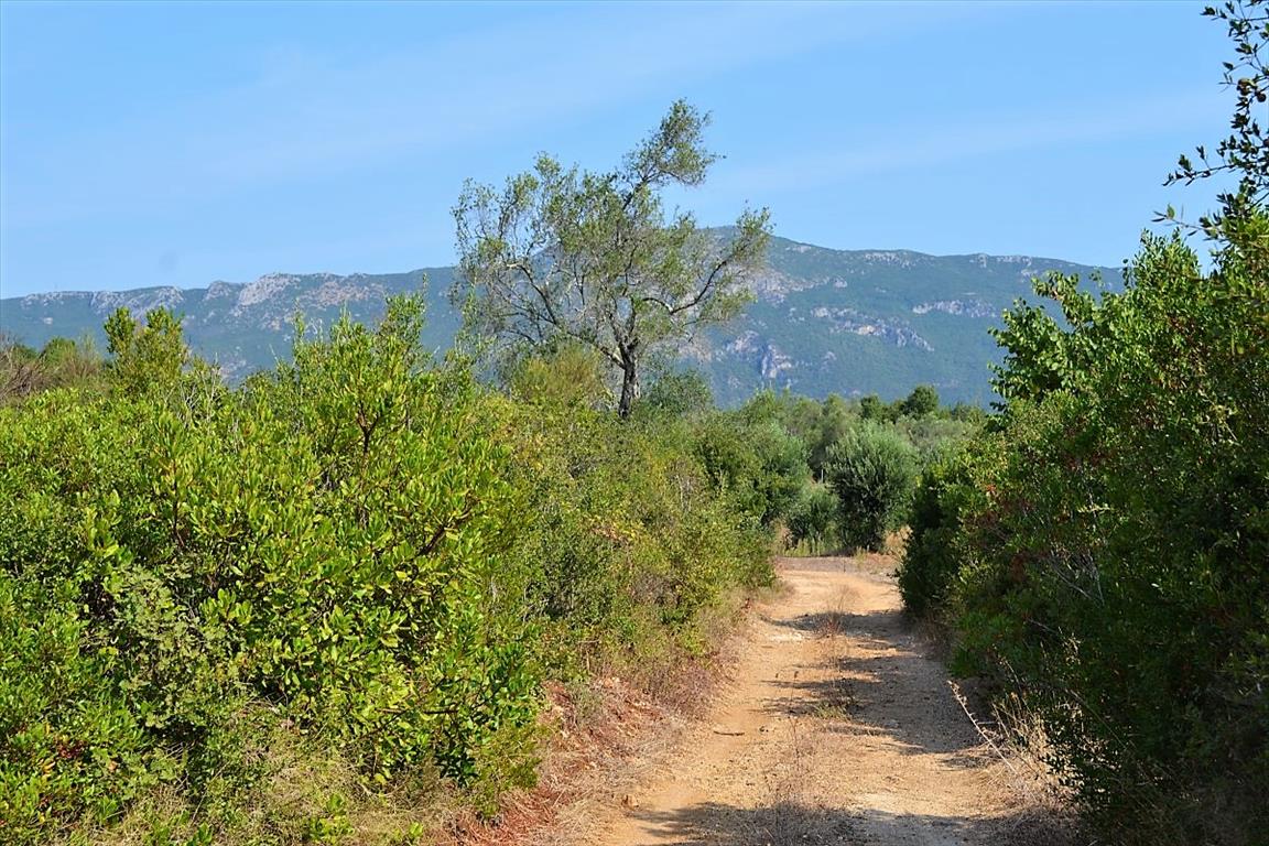 Terreno a Corfù, Grecia, 30 000 m2 - foto 3