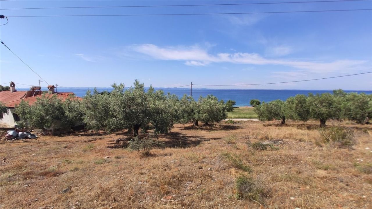 Land in Sithonia, Greece, 13 750 m² - picture 3