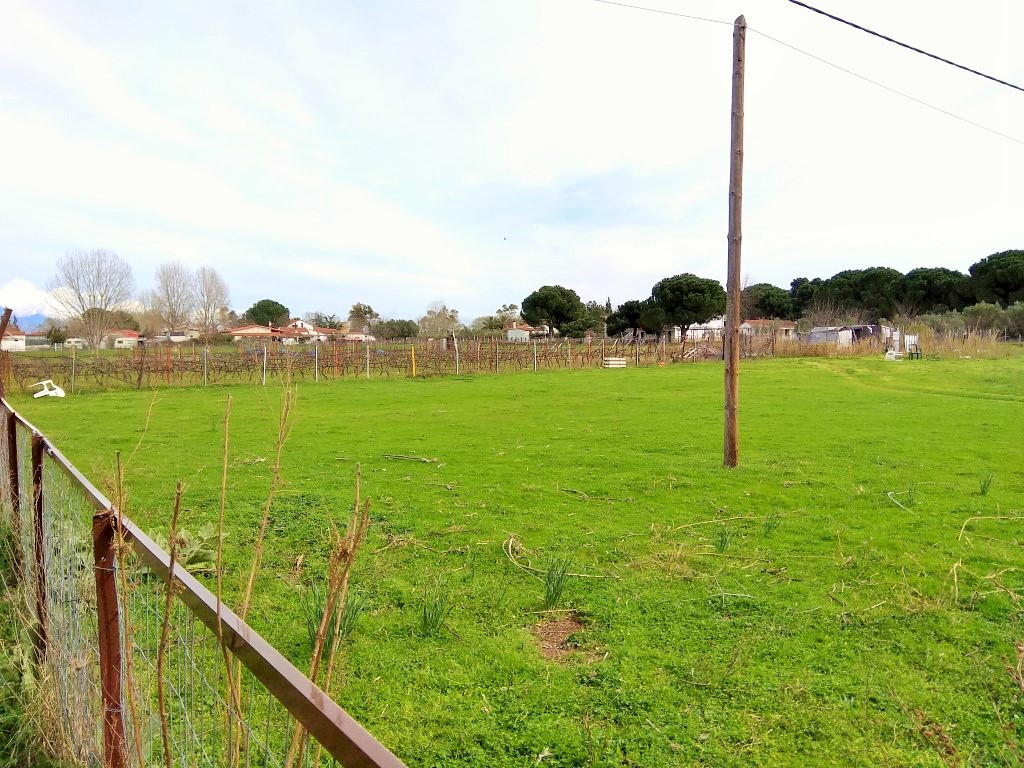 Grundstück in Sithonia, Griechenland, 2 650 m² - Foto 3