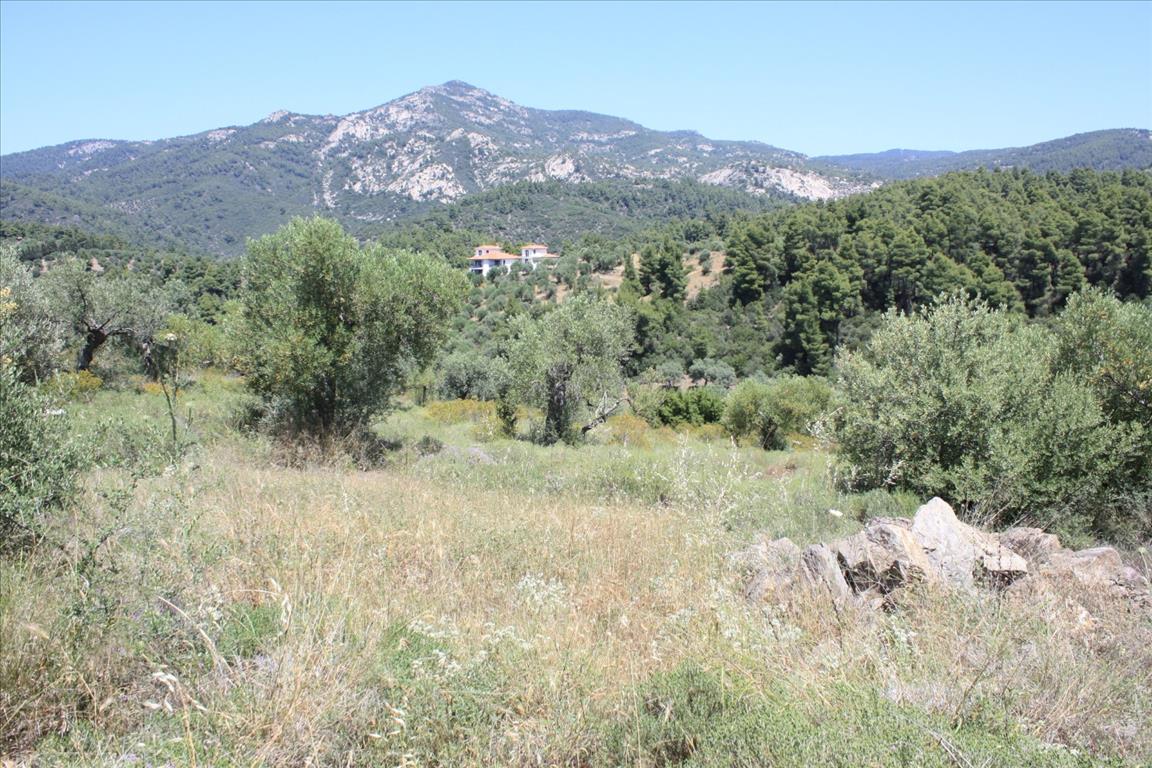 Terreno a Sithonia, Grecia, 4 990 m2 - foto 3
