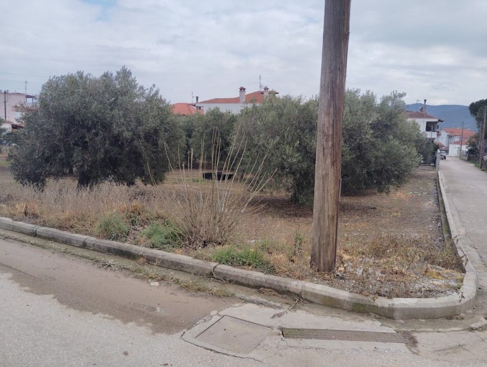 Terreno en Sitonia, Grecia, 1 305 m² - imagen 3