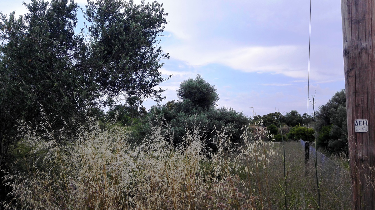 Terreno en Heraclión, Grecia, 400 m² - imagen 3