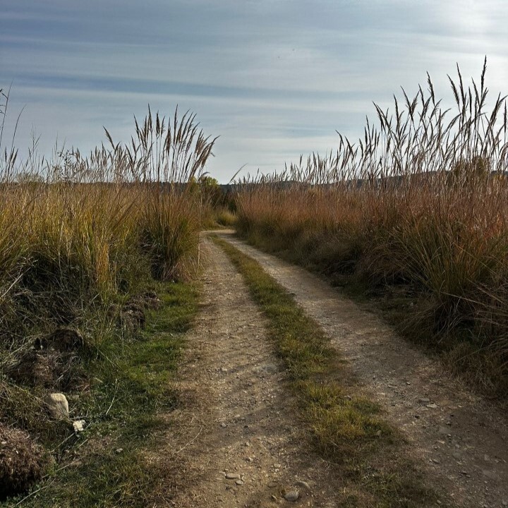 Terreno a Calcidica, Grecia, 10 000 m2 - foto 3