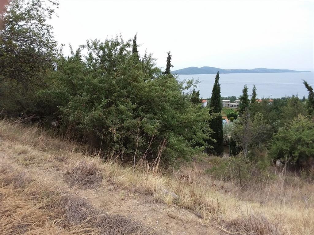 Grundstück in Chalkidiki, Griechenland, 13 000 m² - Foto 3