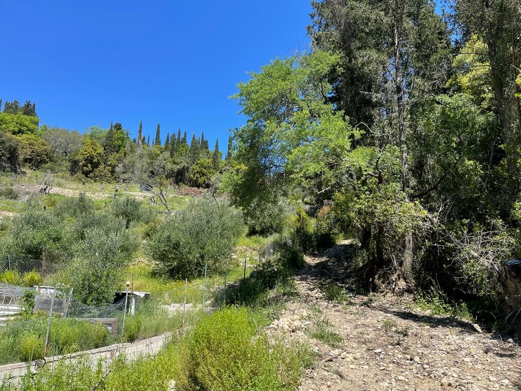 Terreno en Corfú, Grecia, 8 500 m² - imagen 3