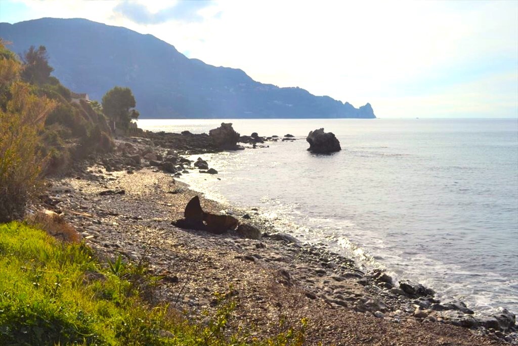 Land in Corfu, Greece, 10 959 m² - picture 3