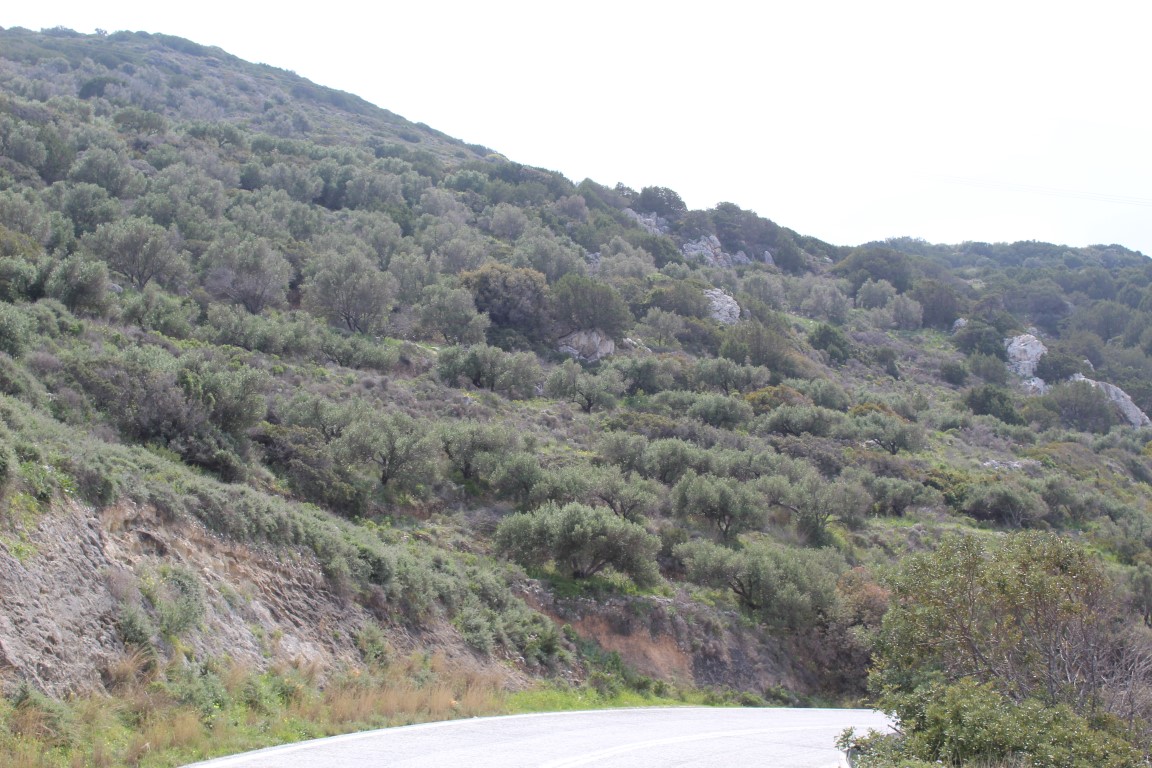 Land in Heraklion, Greece, 12 588 m² - picture 3