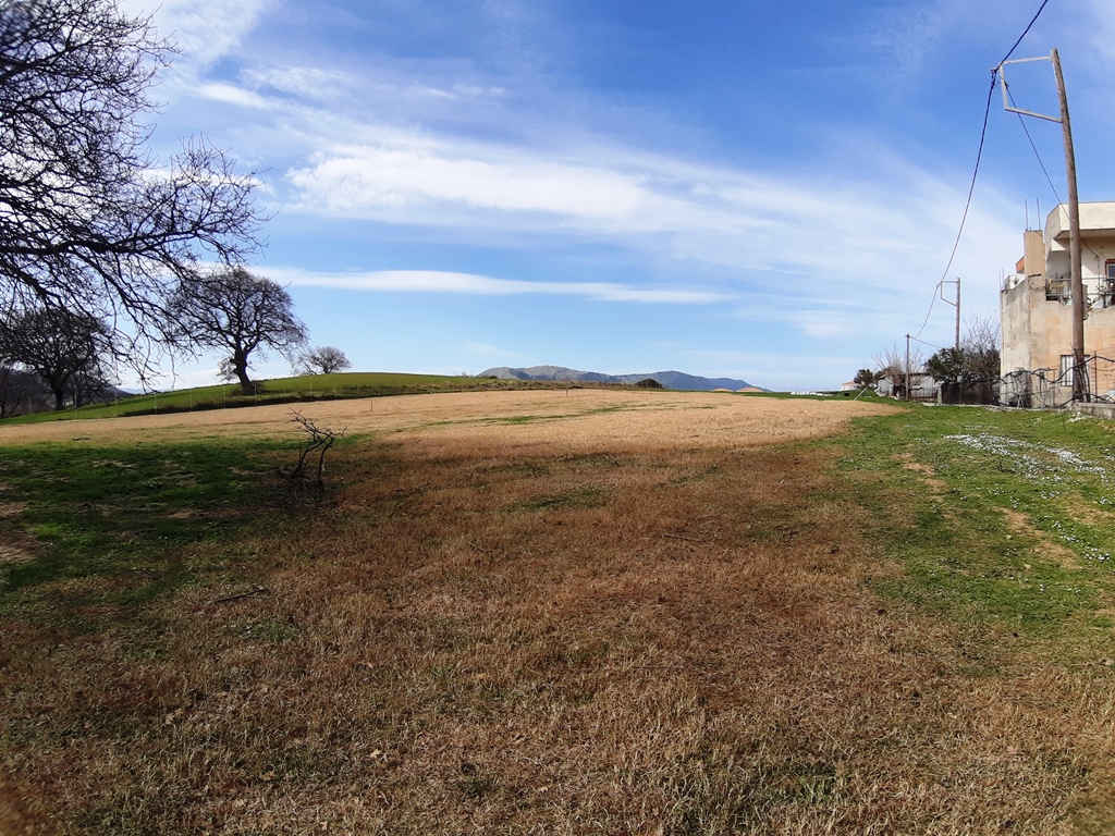 Land in Heraklion, Greece, 8 923 m² - picture 3