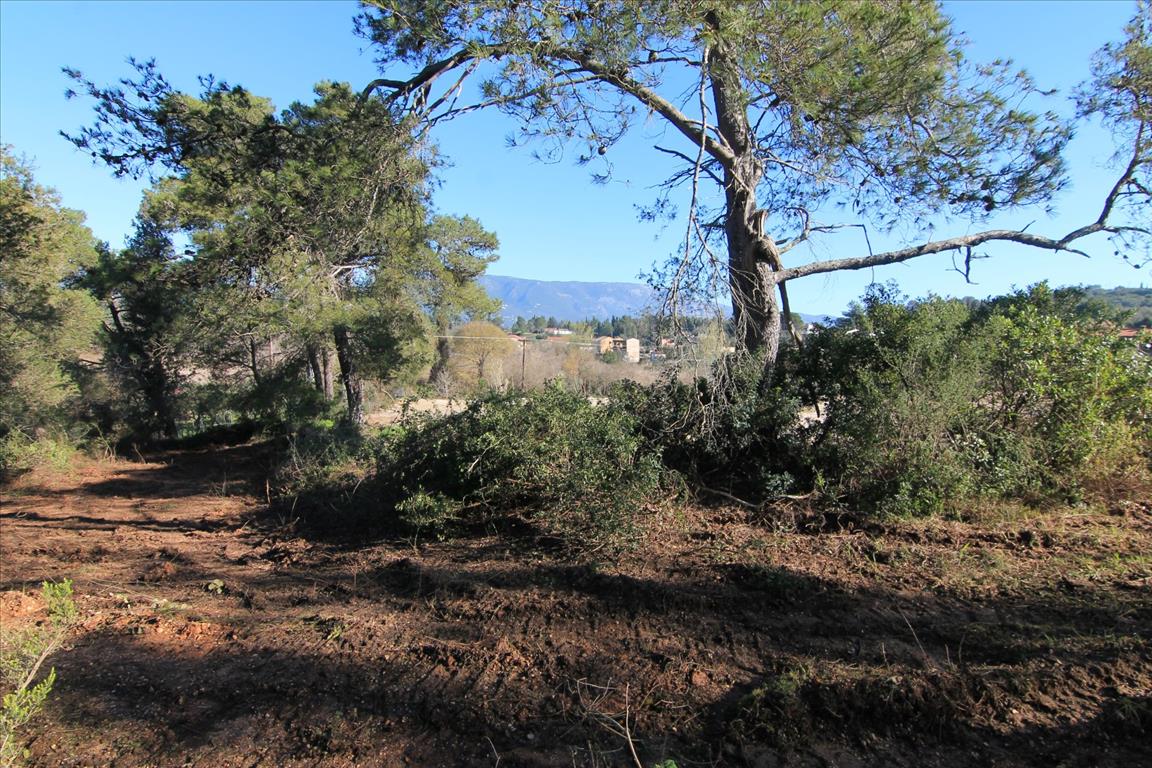 Land in Corfu, Greece, 11 017 m² - picture 3