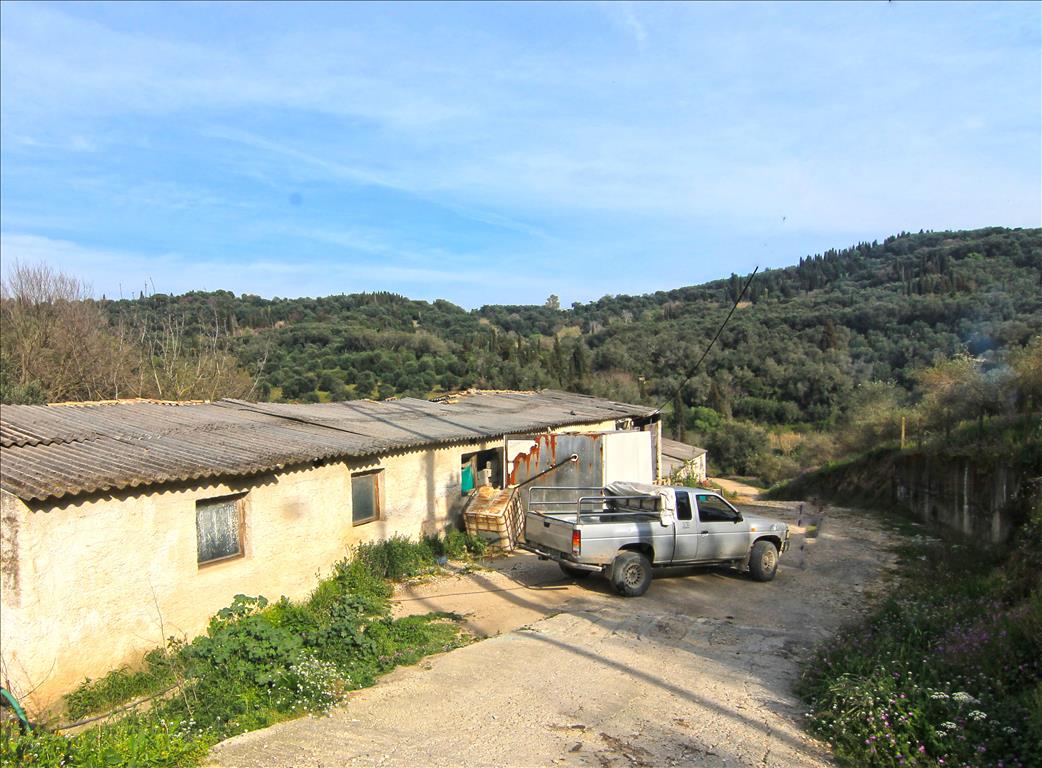 Terreno en Corfú, Grecia, 8 500 m² - imagen 3