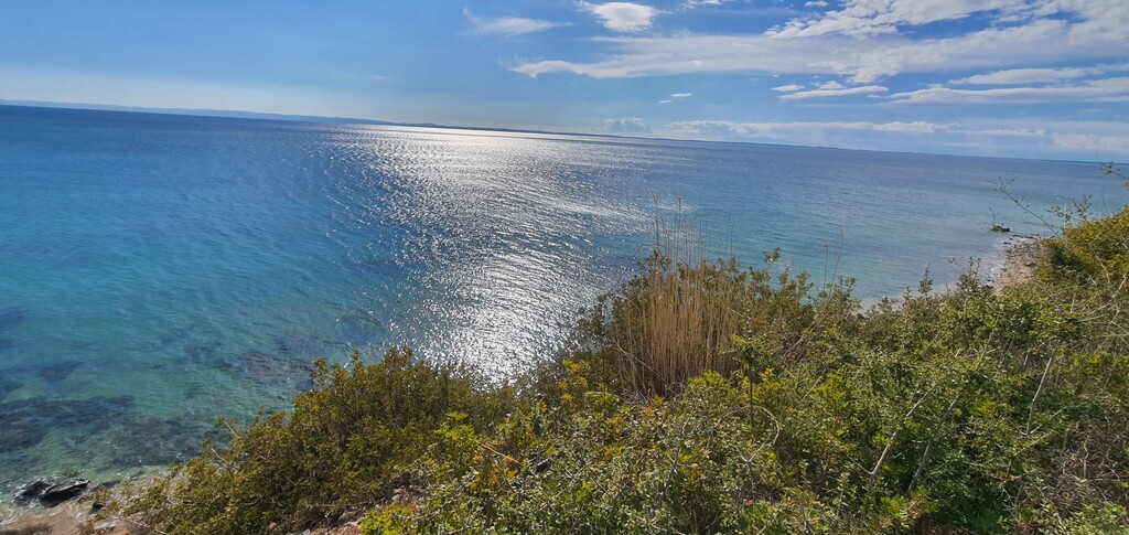 Terrain en Sithonie, Grèce, 4 913 m² - image 3