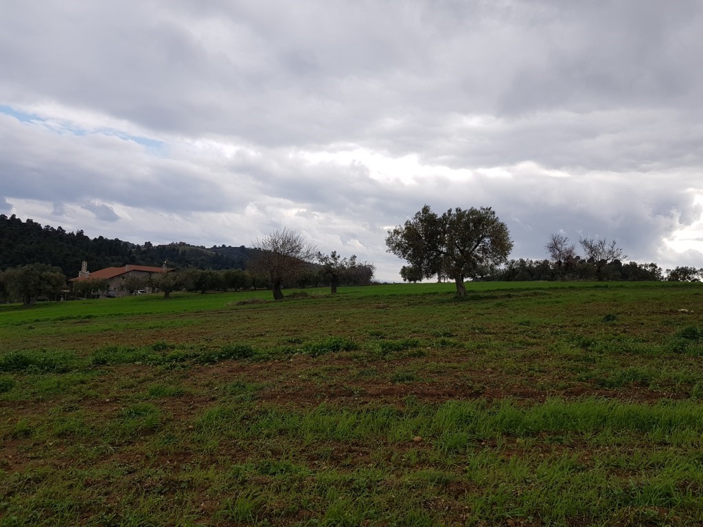 Terreno en Kassandra, Grecia, 5 000 m² - imagen 4