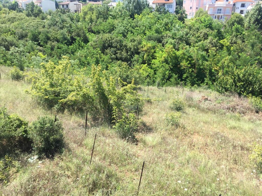 Land in Thessaloniki, Greece, 2 500 m² - picture 4