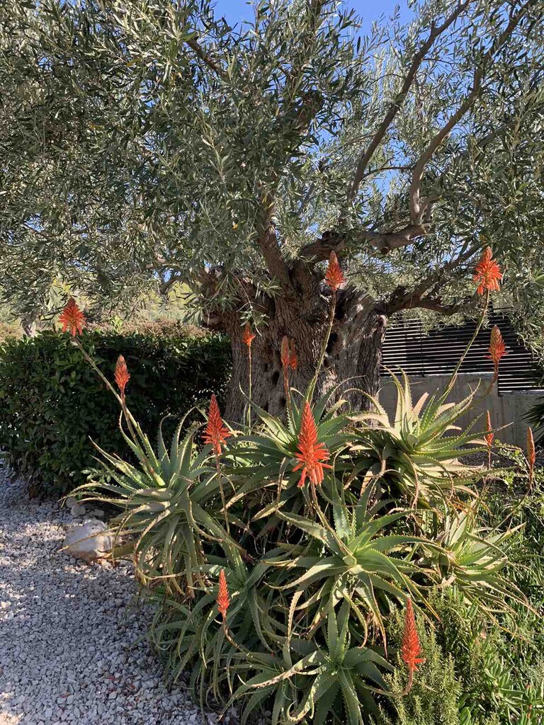 Casa a Loutraki, Grecia, 340 m² - foto 4