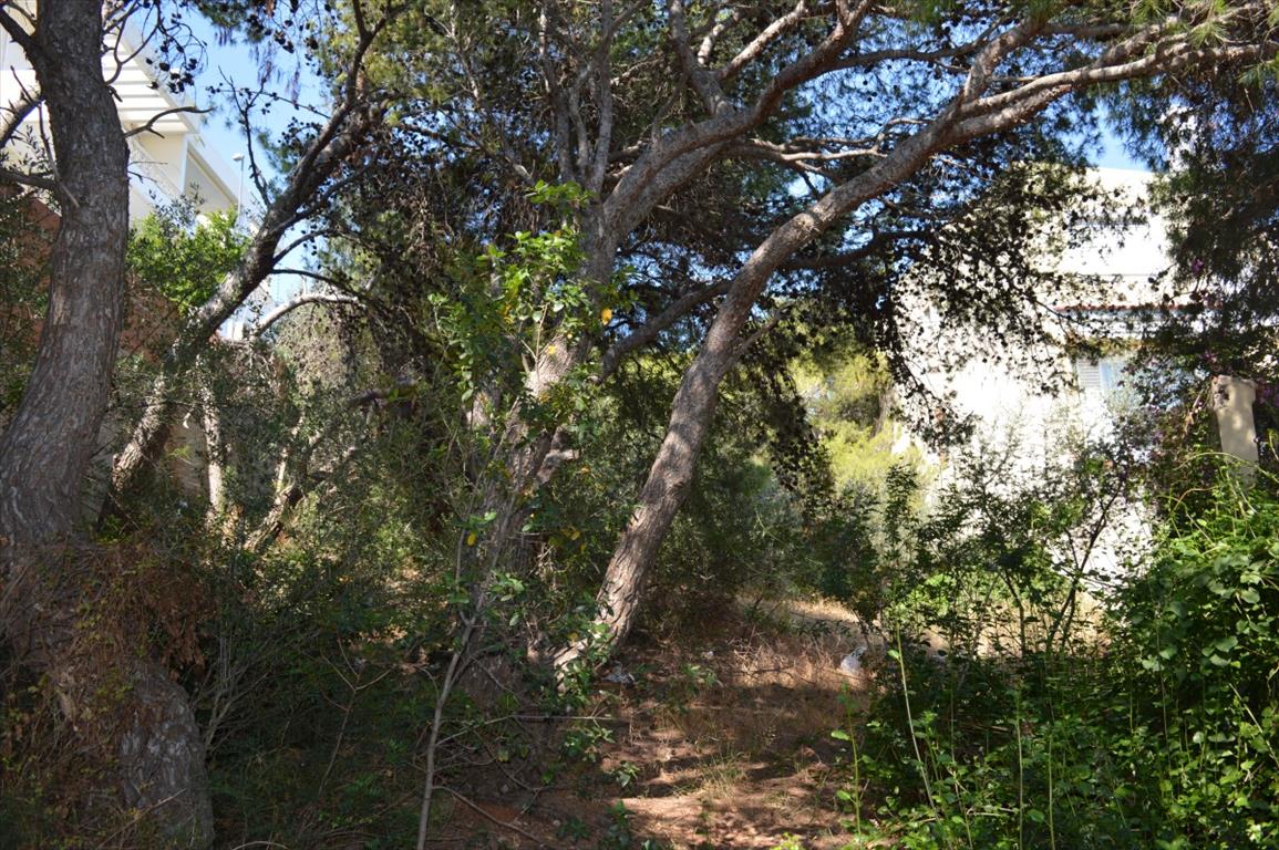 Terreno en Ática, Grecia, 536 m² - imagen 4