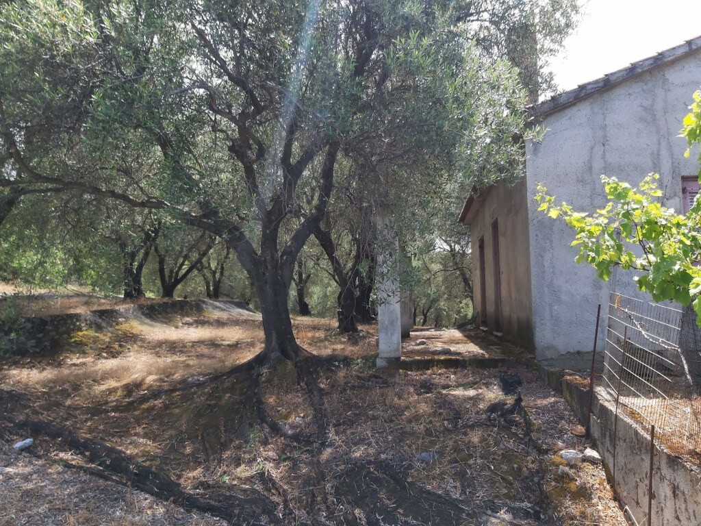 Grundstück in Korfu, Griechenland, 7 200 m² - Foto 4