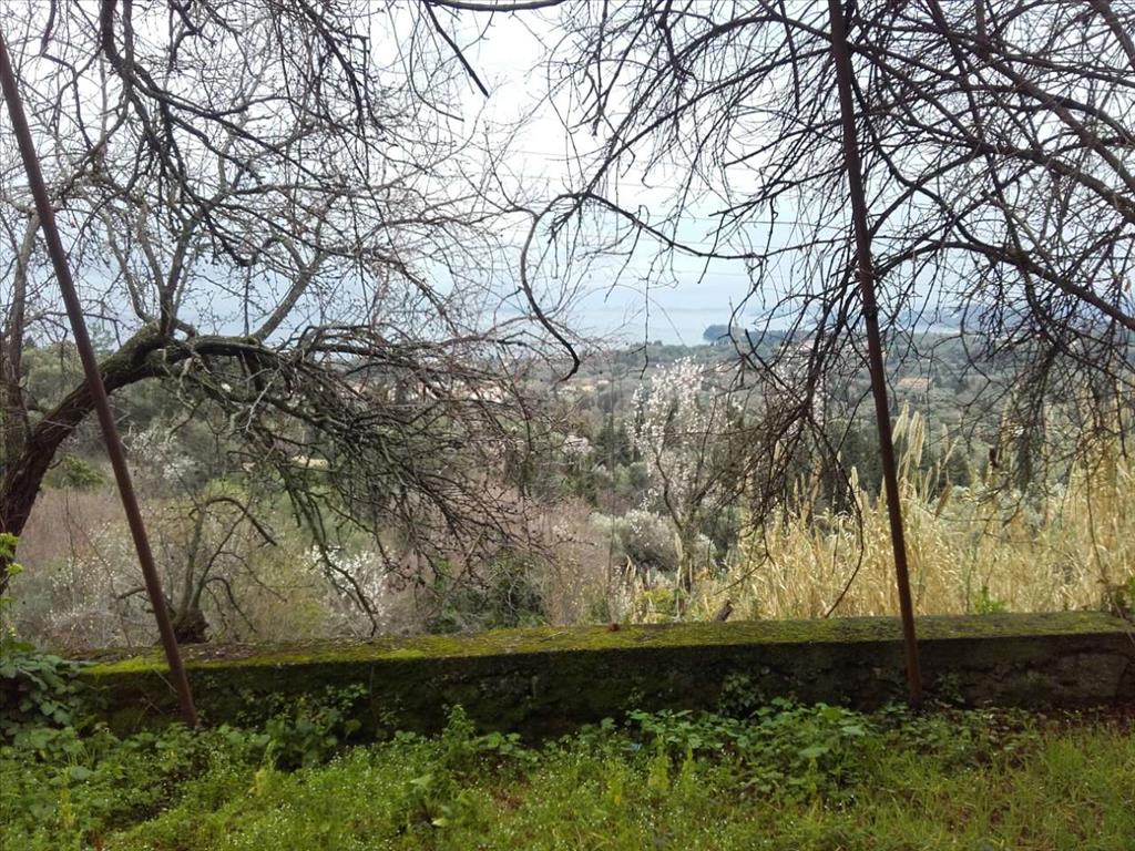 Casa en Corfú, Grecia, 95 m² - imagen 4