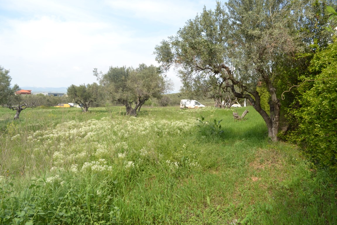 Terrain en Chalcidique, Grèce, 6 100 m² - image 4