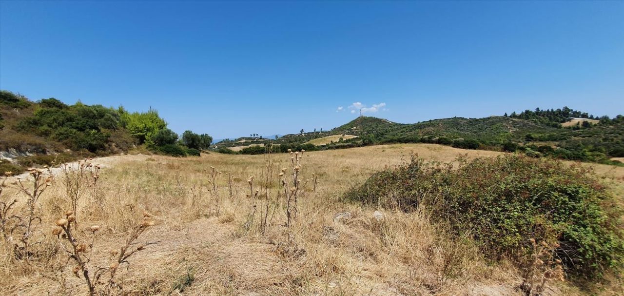 Land in Kassandra, Greece, 30 000 m² - picture 4