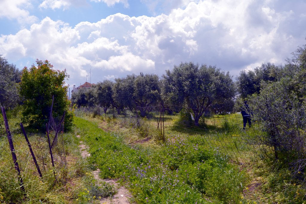 Terreno a Heraklion, Grecia, 4 500 m2 - foto 4