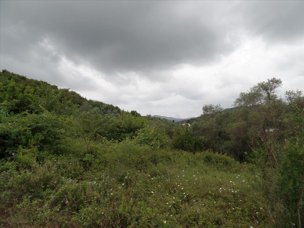Land in Corfu, Greece, 15 000 m² - picture 4