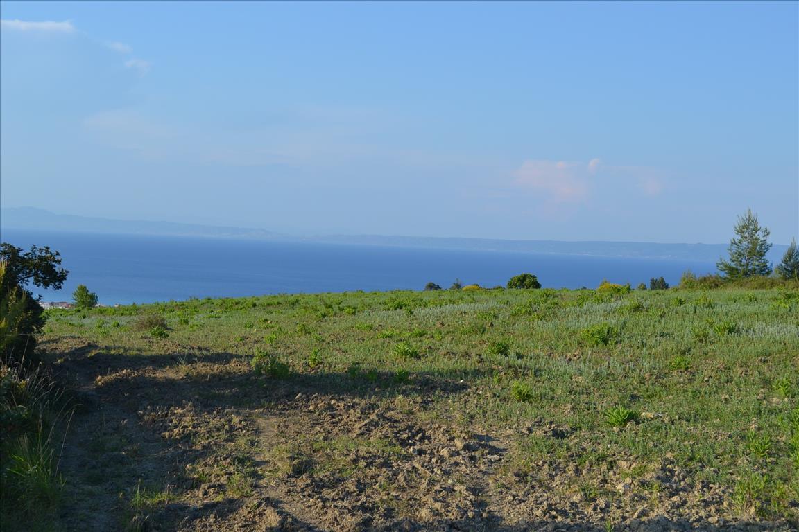 Grundstück in Kassandra, Griechenland, 15 400 m² - Foto 4