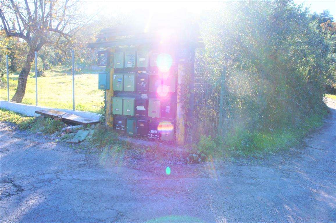 Terreno en Corfú, Grecia, 17 500 m² - imagen 4