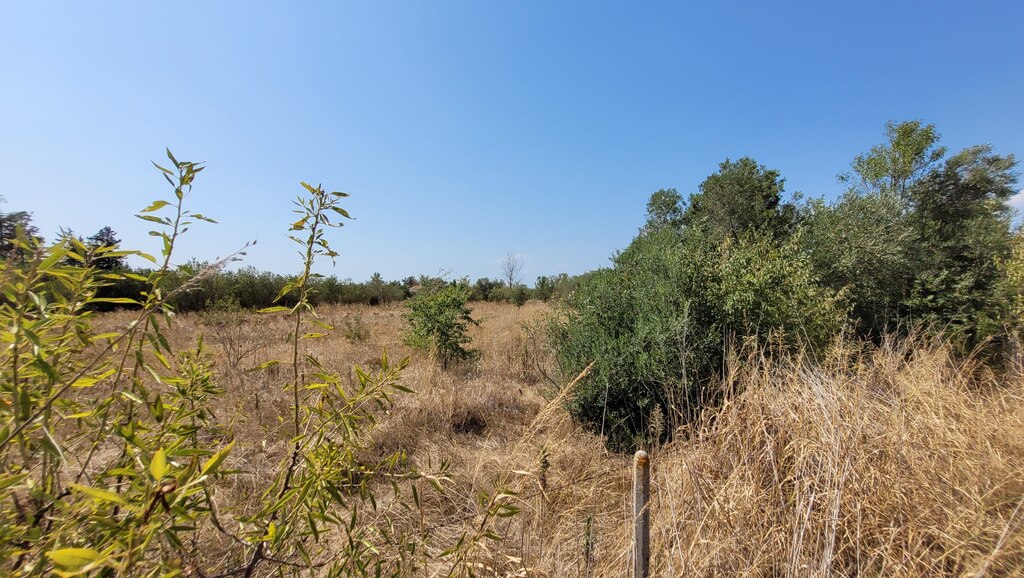 Terreno en Salónica, Grecia, 5 000 m² - imagen 4