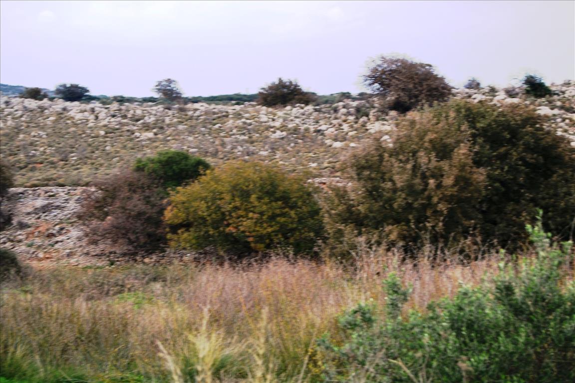 Land in Heraklion, Greece, 8 500 m² - picture 4
