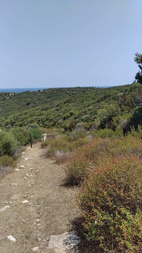 Terrain en Sithonie, Grèce, 11 688 m² - image 4