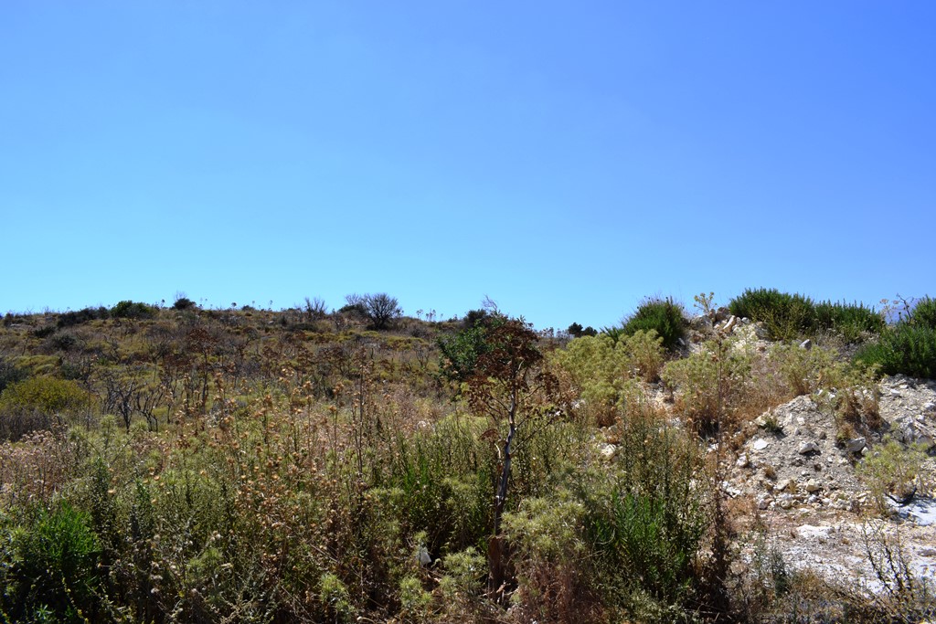 Land in Heraklion, Greece, 14 364 m² - picture 4