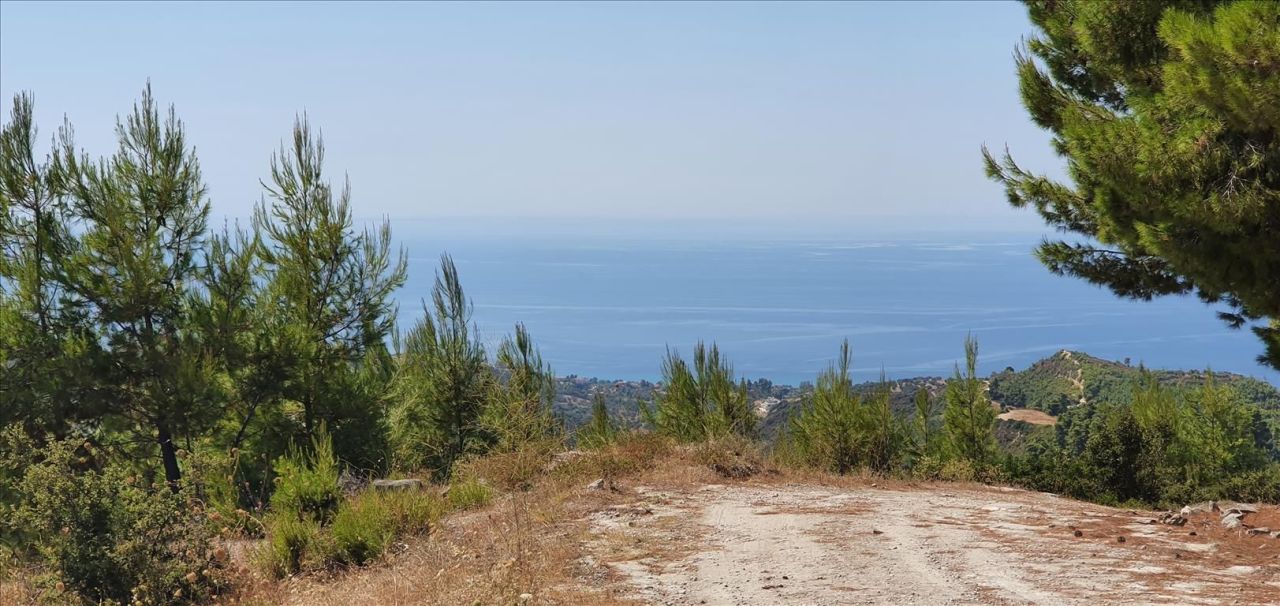 Grundstück in Kassandra, Griechenland, 15 000 m² - Foto 4