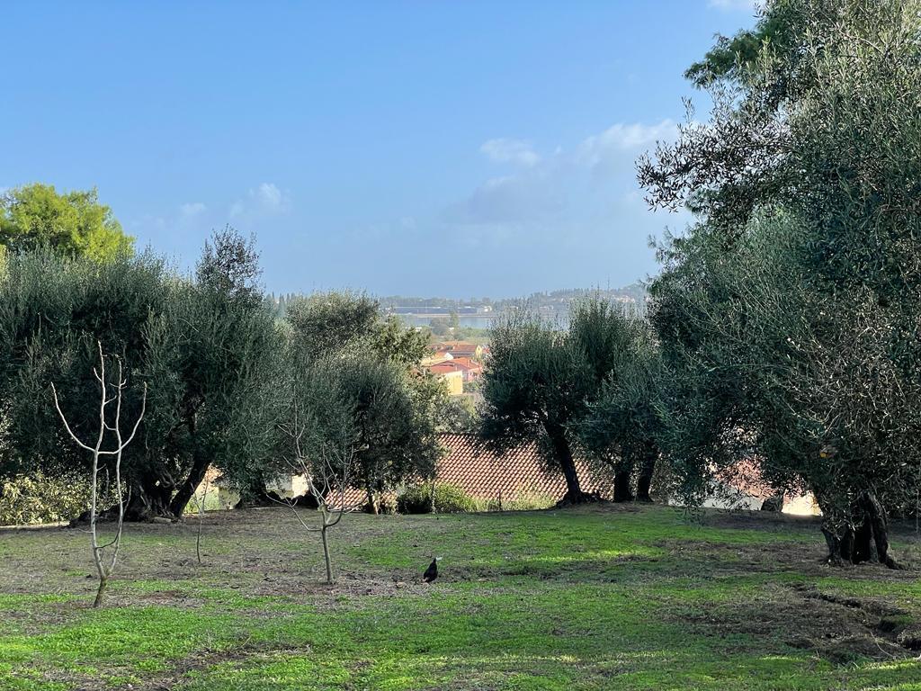 Terreno a Corfù, Grecia, 8 500 m2 - foto 4